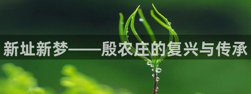 天辰娱乐解封