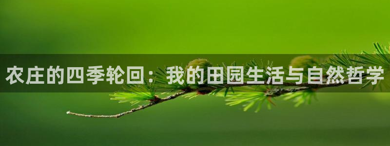 天辰娱乐 44516