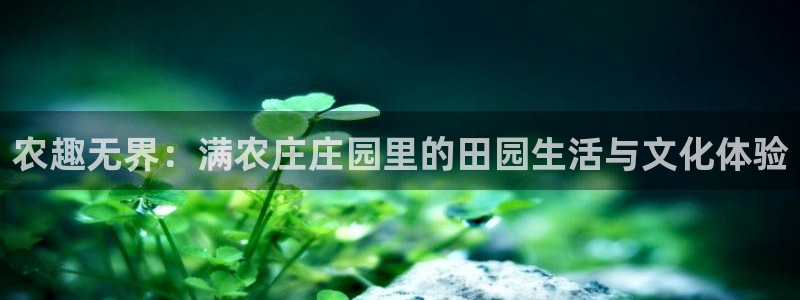 天辰娱乐地址