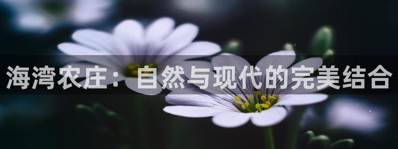 天辰娱乐 849852