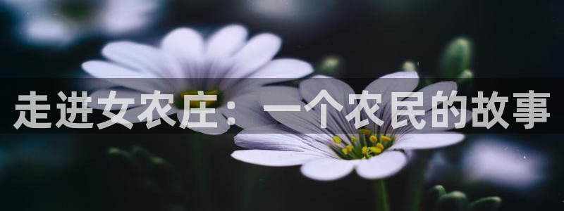 天辰娱乐44616