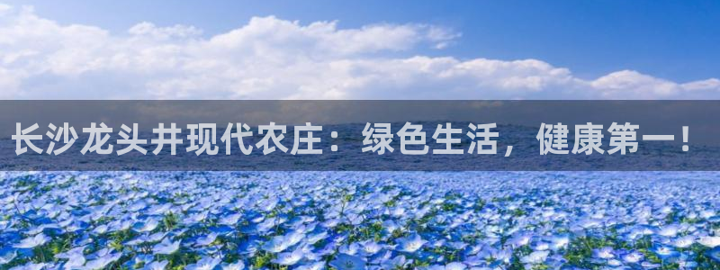 天辰辰娱乐代理