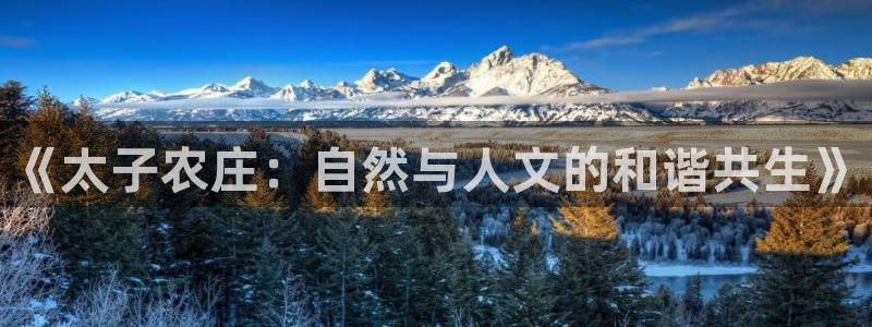 天辰娱乐481928