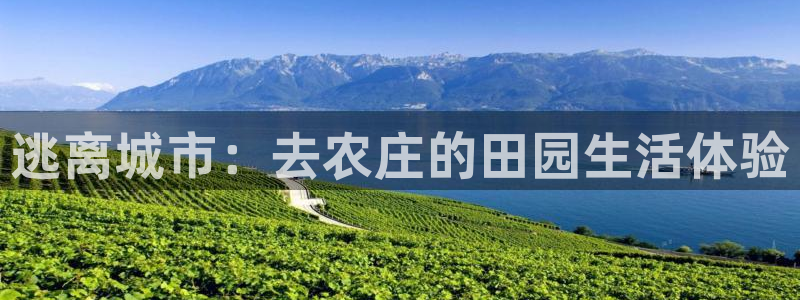 天辰娱乐游客