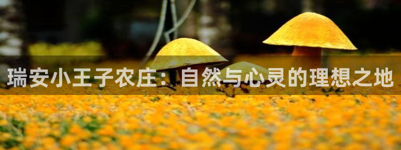 天辰娱乐appxi