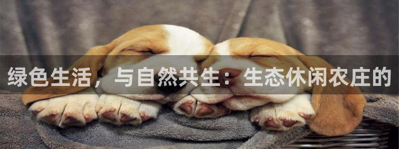 天辰水娱乐