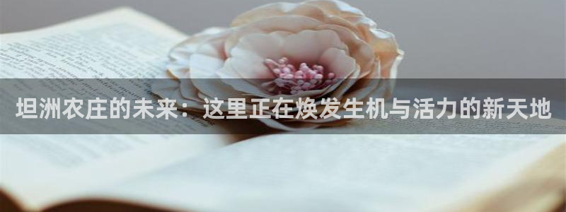 天辰娱乐文化