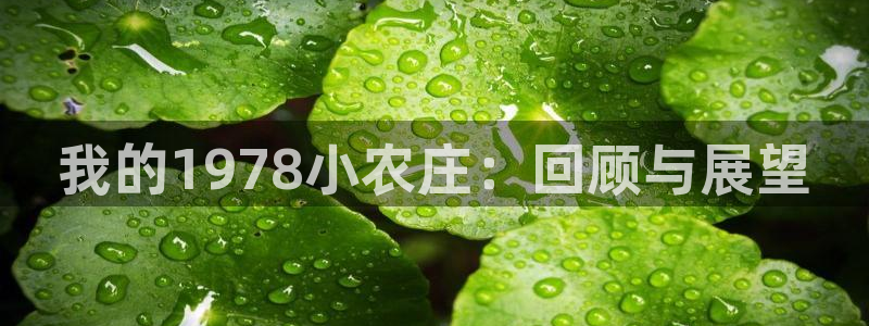 天辰娱乐主管