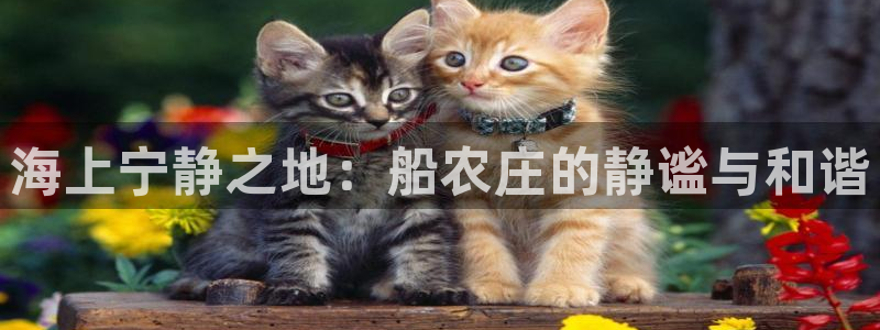 天辰臣娱乐