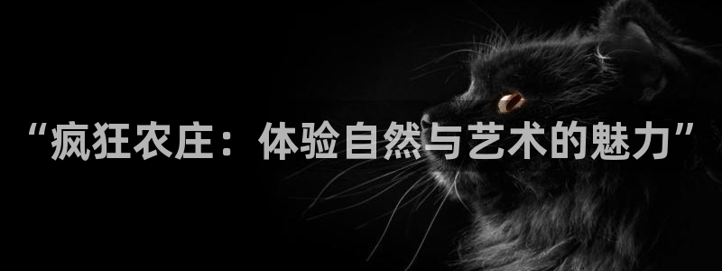 天辰娱乐小姐