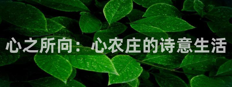 天辰娱乐官网