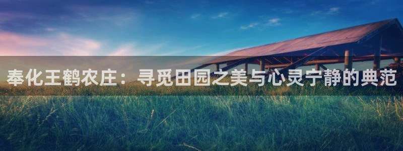 天辰娱乐官方网
