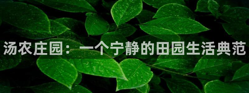 天辰 娱乐