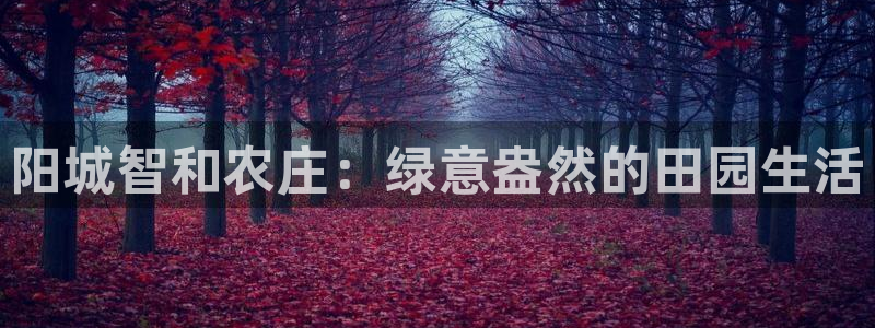 天辰娱乐娱乐平台