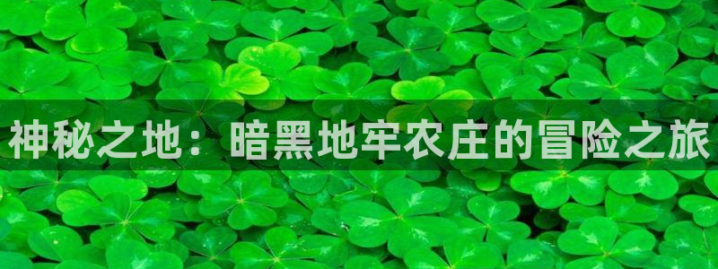 天辰团队贝高娱乐