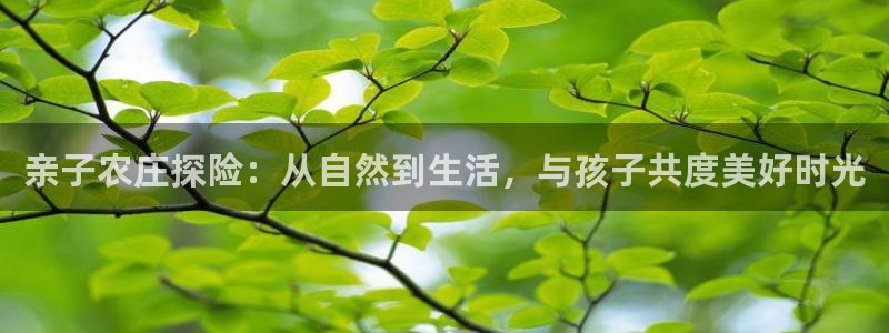 天辰娱乐总管年薪