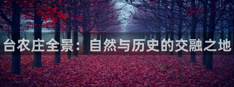 天辰辰娱乐代理