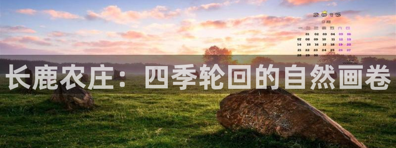 手机上怎么下载天辰娱乐