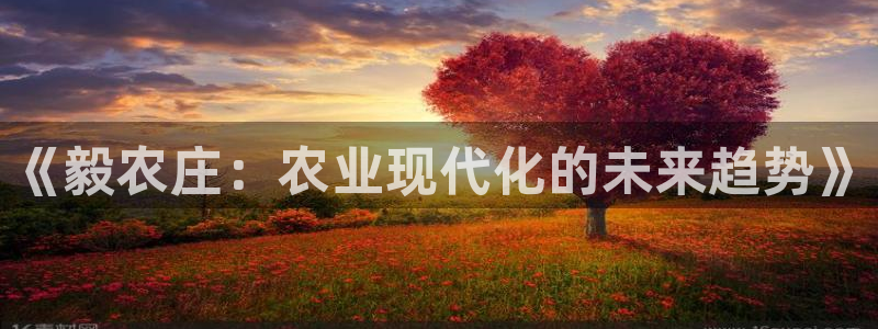 天辰娱乐下载链接