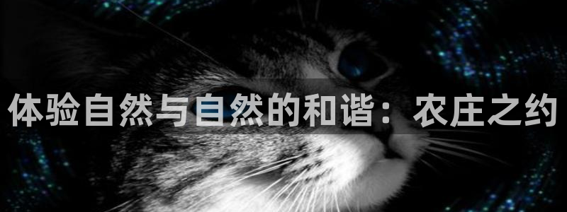 天辰娱乐平台测速