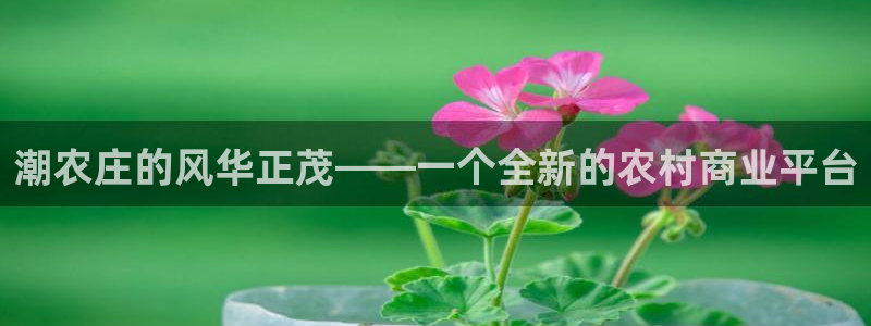 天辰娱乐平台入口