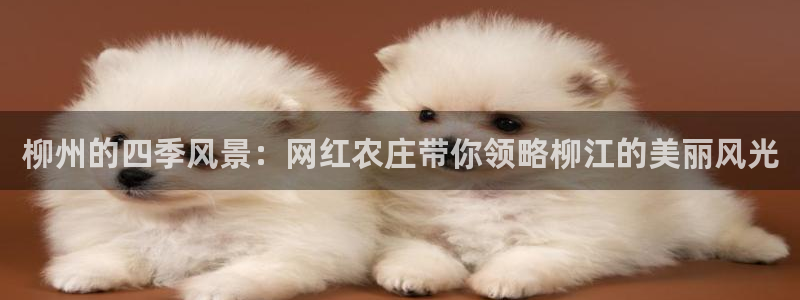 天辰娱乐天辰宝