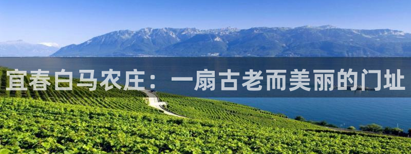 天辰娱乐官网平台入口