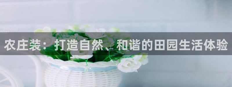 天辰团队贝高娱乐