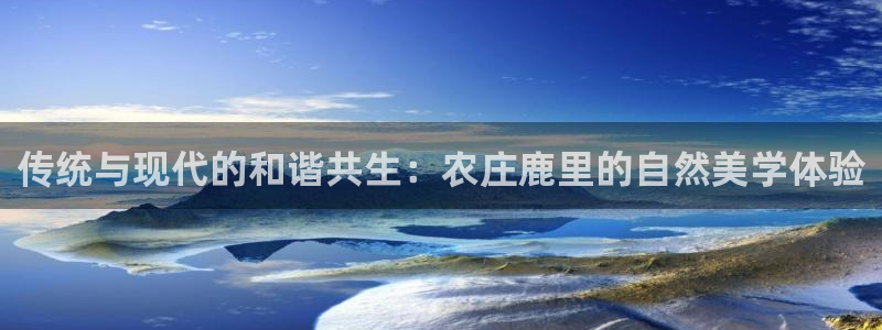 天辰娱乐平台入口