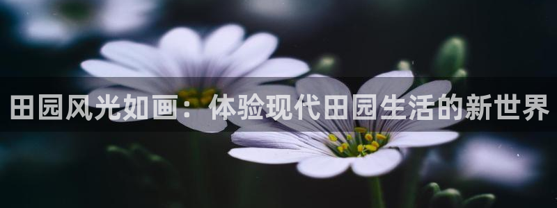 天辰娱乐7天22650