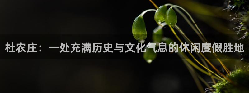 天富娱乐与天辰娱乐