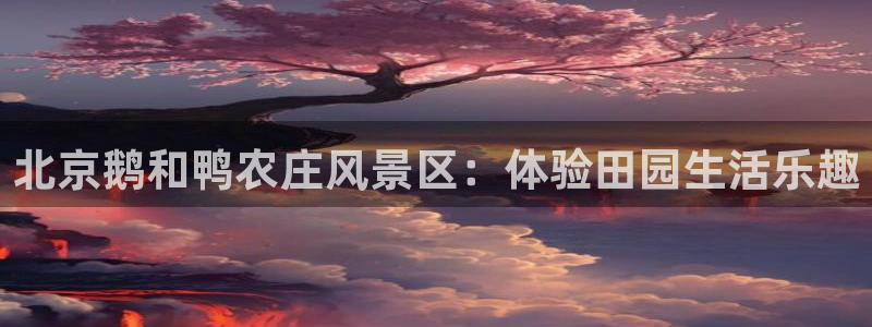 天辰团队贝高娱乐