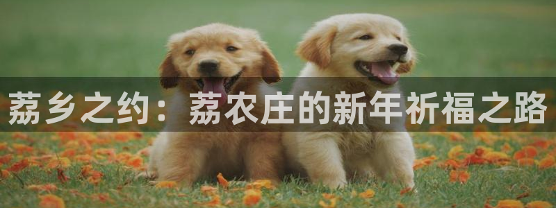 天辰天富娱乐登录