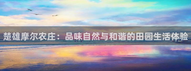 天辰娱乐登录网址