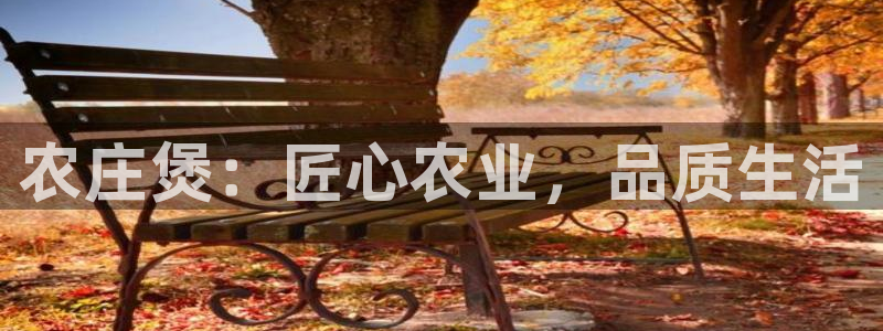 天辰娱乐平台安全吗