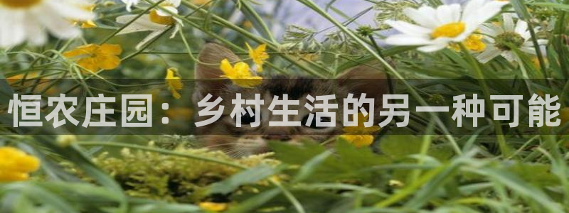 天辰娱乐登录测试