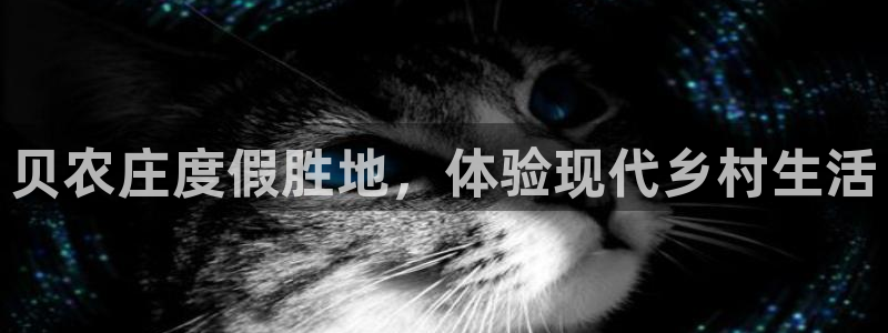 天辰娱乐十分彩