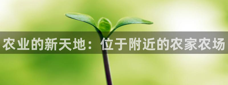 天辰娱乐登陆平台